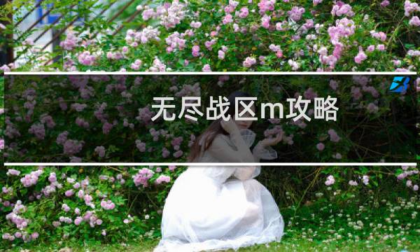 无尽战区m攻略