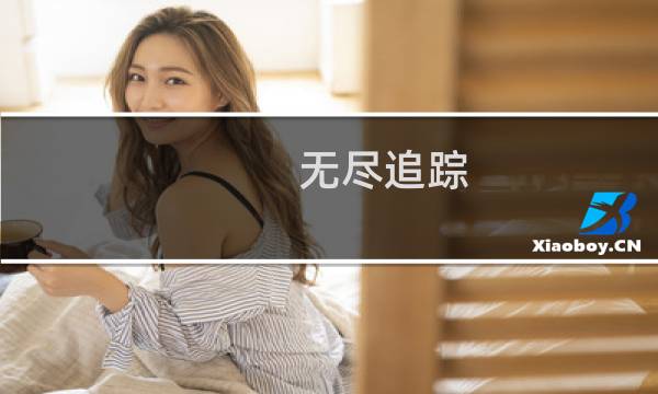 无尽追踪 攻略