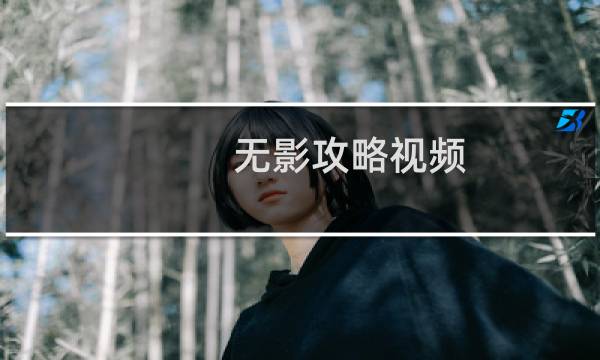 无影攻略视频