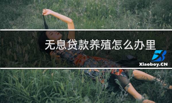 无息贷款养殖怎么办里