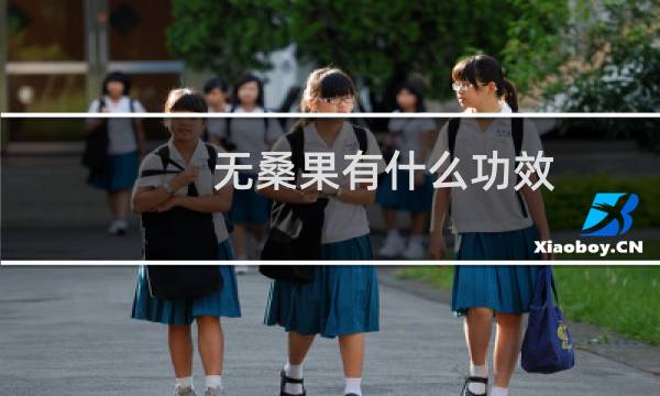 无桑果有什么功效