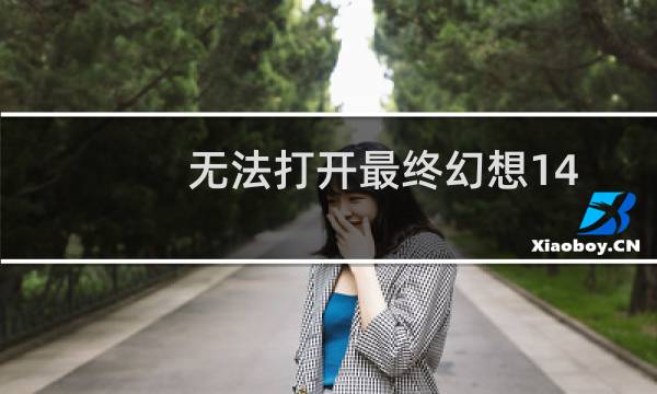 无法打开最终幻想14