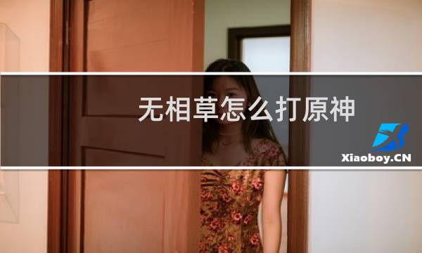 无相草怎么打原神