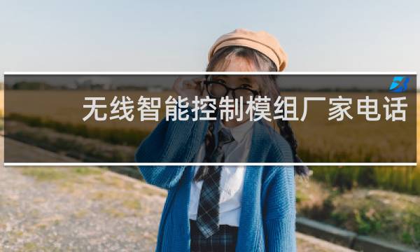 無線智能控制模組廠家電話