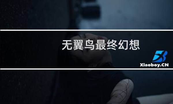 无翼鸟最终幻想