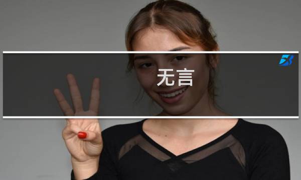 无言 游戏攻略