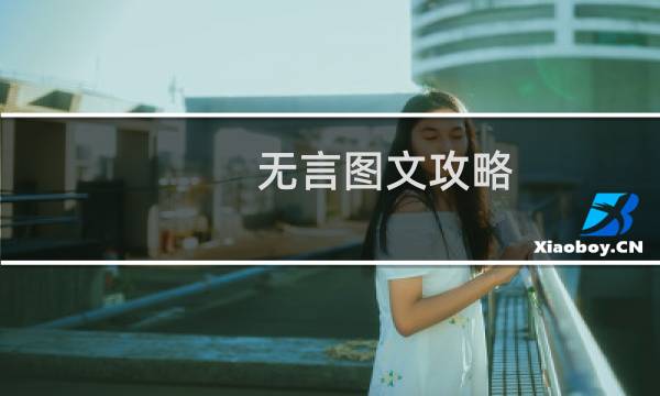 无言图文攻略