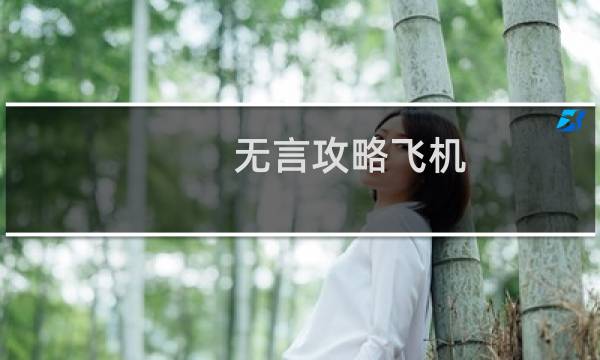 无言攻略飞机