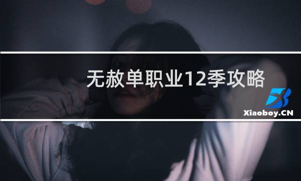 无赦单职业12季攻略