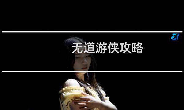 无道游侠攻略