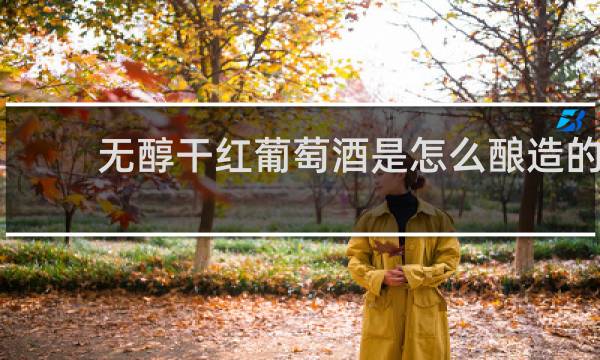 无醇干红葡萄酒是怎么酿造的