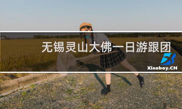 无锡灵山大佛一日游跟团