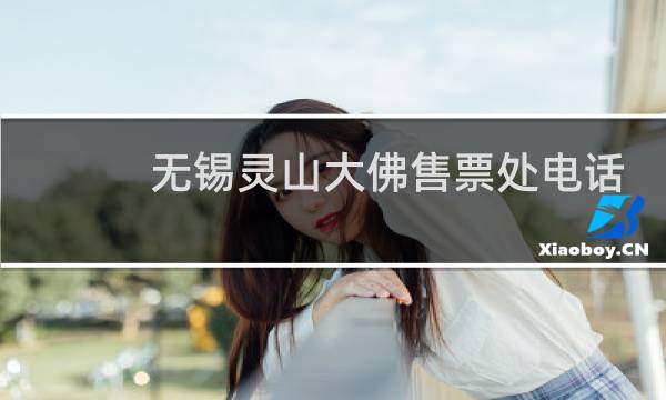 无锡灵山大佛售票处电话