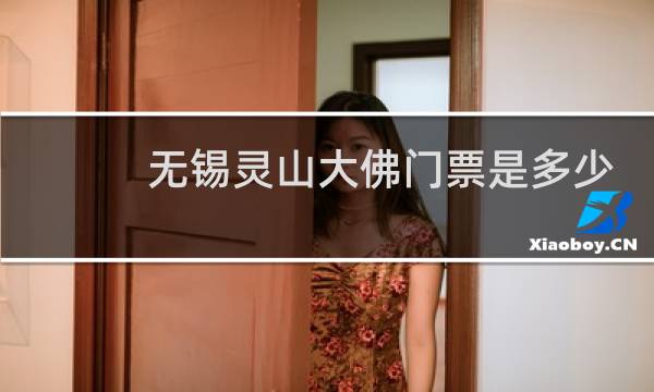无锡灵山大佛门票是多少