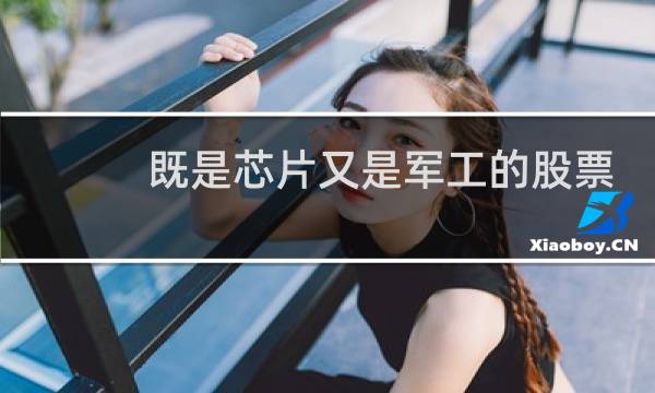 既是芯片又是军工的股票