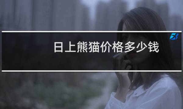 日上熊猫价格多少钱