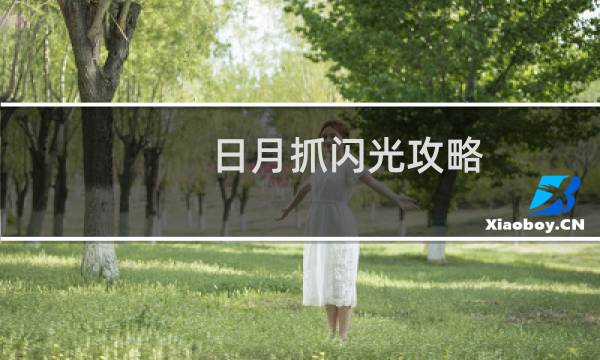 日月抓闪光攻略