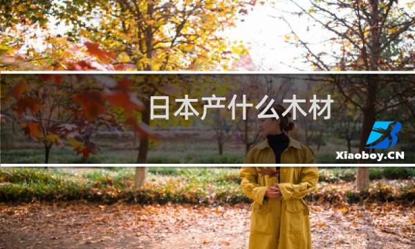 日本产什么木材