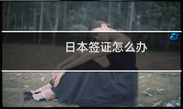 日本签证怎么办