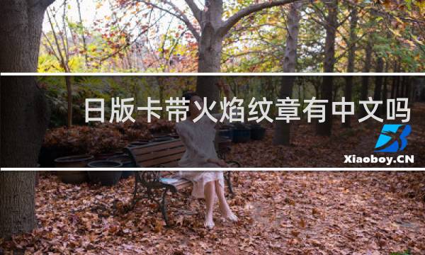 日版卡带火焰纹章有中文吗