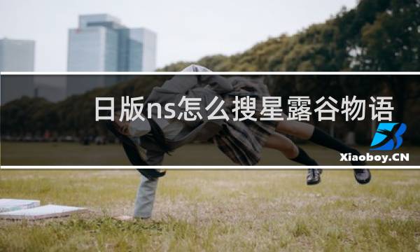 日版ns怎么搜星露谷物语