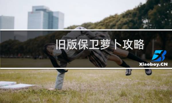 旧版保卫萝卜攻略