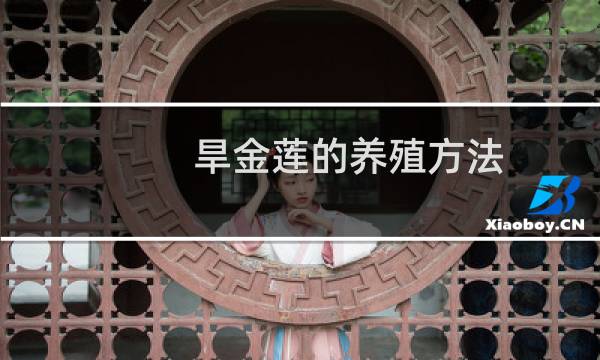 旱金莲的养殖方法