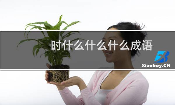 时什么什么什么成语