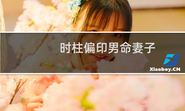时柱偏印男命妻子