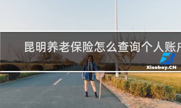 昆明养老保险怎么查询个人账户