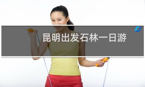 昆明出发石林一日游