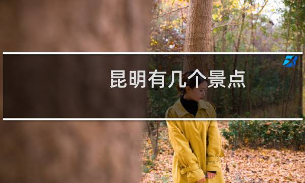 昆明有几个景点