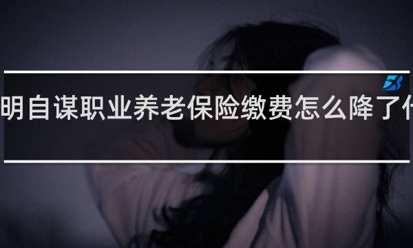 昆明自谋职业养老保险缴费怎么降了什么原因