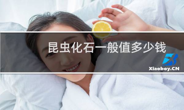 昆虫化石一般值多少钱