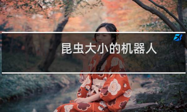 昆虫大小的机器人