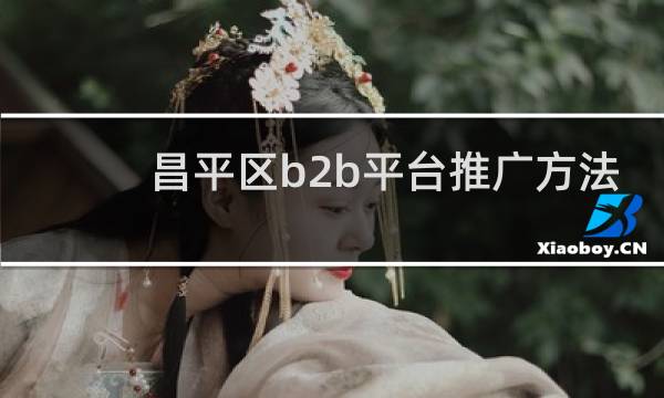 昌平区b2b平台推广方法