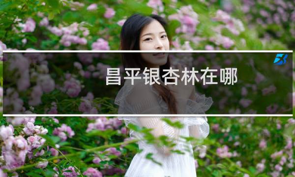 昌平银杏林在哪