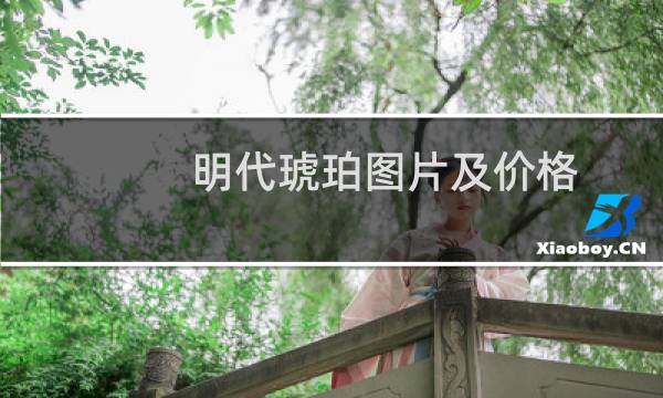 明代琥珀图片及价格