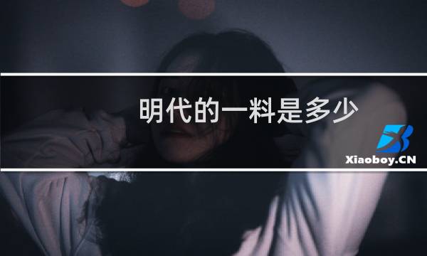 明代的一料是多少