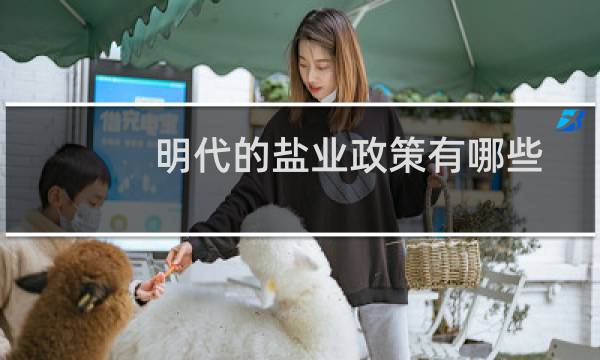 明代的盐业政策有哪些