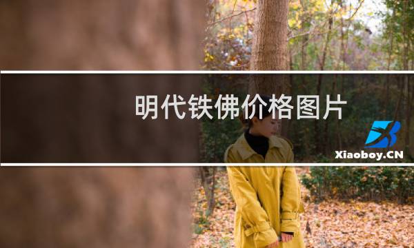明代铁佛价格图片