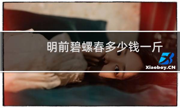 明前碧螺春多少钱一斤