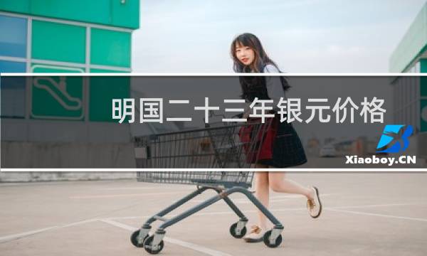 明国二十三年银元价格