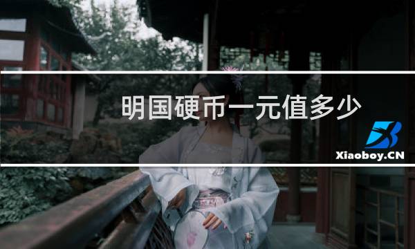 明国硬币一元值多少