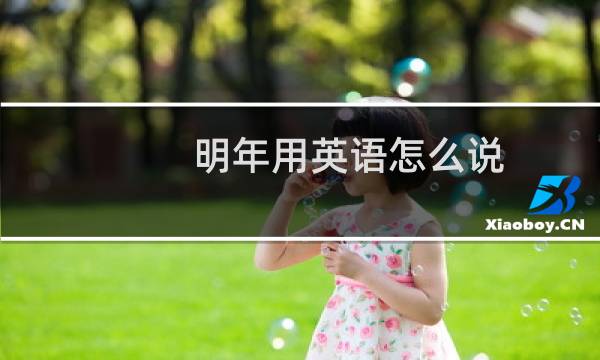 明年用英语怎么说