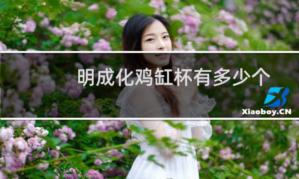 明成化鸡缸杯有多少个