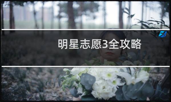 明星志愿3全攻略