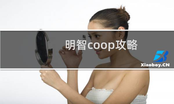 明智coop攻略