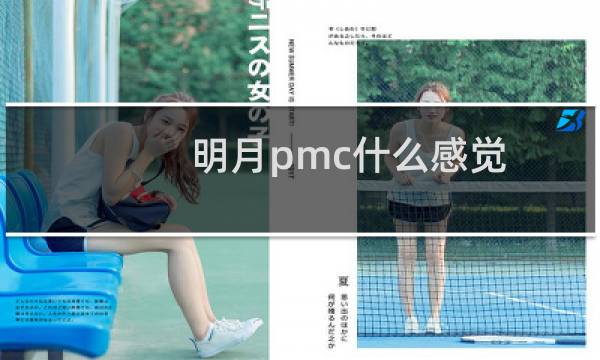 明月pmc什么感觉