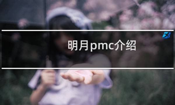 明月pmc介绍